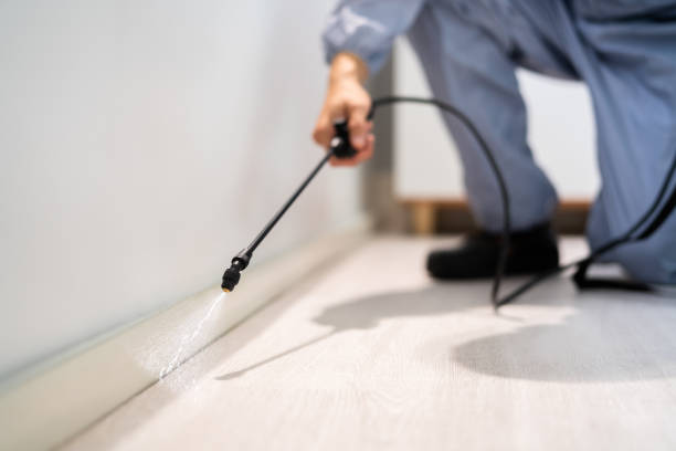 Certified termite inspector examining foundation in Hinton